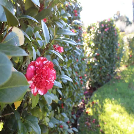 別荘 Beautiful On The Estate Of A Farm *