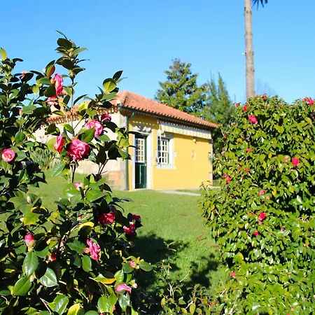 Cottage In Santa Comba With Pool Holiday home