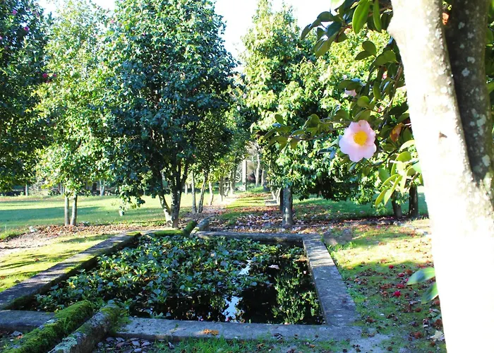 Cottage In Santa Comba With Pool Holiday home Ponte de Lima