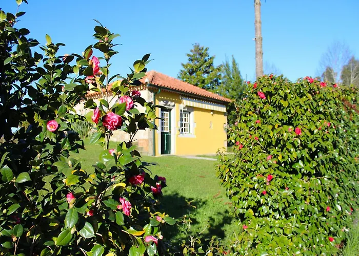 In Santa Comba With Pool Prázdninový dům